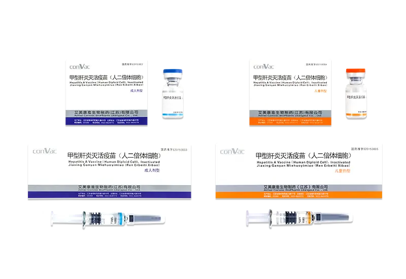 Sel Diploid Vaksin Hepatitis A Tidak Aktif